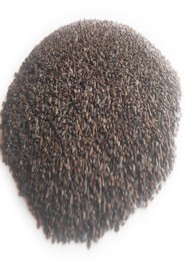 Ayushiv TALMAKHANA SEEDS (Asteracantha Longifolia) - KOKILAKSHA BEEJ - TAAL MAKHANA BEEJ (50) - Image 3